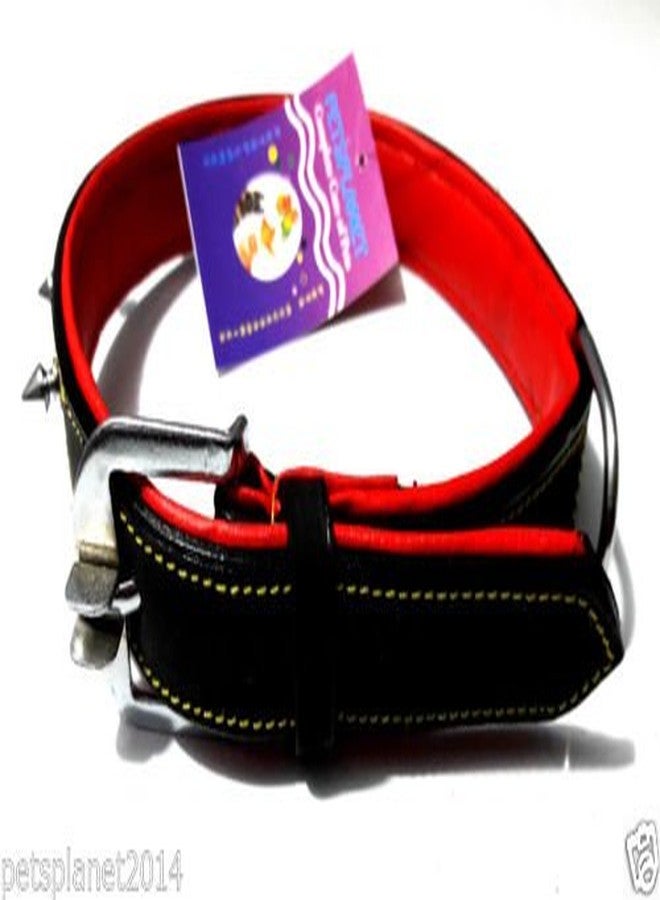 Ocean Wave Petsplanet PU Dog Collar with Soft Red Pad - Small & Medium Size Dogs 1" - Image 5